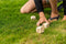 Garden Yahtzee - Dobbelspel