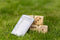 Garden Yahtzee - Dobbelspel