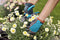 GARDENA 11502-20 Tuinhandschoenen - 9/L