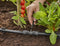 GARDENA 13204-20 Micro-Drip system T-stuk 13 mm (1/2) Ø