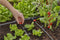 GARDENA 13204-20 Micro-Drip system T-stuk 13 mm (1/2) Ø