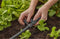GARDENA 13206-20 Micro-Drip system T-stuk