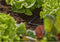 GARDENA 13212-20 Micro-Drip system L-stuk 4,6 mm (3/16)
