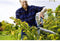 GARDENA 2 in 1 EnergyCut Heggenschaar - 2.5x meer kracht - Totale lengte 60 cm