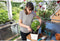 GARDENA - Balkon box citygardening