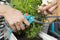 GARDENA City Gardening allesknipper