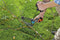 GARDENA Combisystem Aambeeld Boomschaar Takkenschaar - 35mm