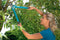 GARDENA Comfort 500 BL Takkenschaar - Max Knipdiameter 35 mm