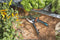 GARDENA Comfort B/S-XL Bypass Snoeischaar - Ø 24 mm - 25 Jaar Garantie