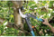 GARDENA Comfort Hefboomtakkenschaar SmartCut Takkenschaar - Max. knipdiameter 45 mm