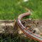 GARDENA Comfort HighFlex Tuinslang - 20 Meter - 13 mm