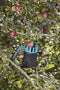 GARDENA Fruitplukker Combisystem