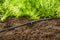 GARDENA Micro-Drip-Systeem Druppelbuis - Bovengronds - 4.6 mm 3/16