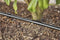 GARDENA Micro-Drip system Druppelbuis 13 mm (1/2) Ø - 13503-20
