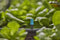 GARDENA Micro-Drip system Eindsproeier voor kleine oppervlakken 13 mm (1/2) Ø - 13306-20
