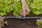 GARDENA Micro-Drip system Reguleer- en afsluitklep 13 mm (1/2) Ø - 13207-20