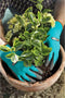 GARDENA Plant- en bodem Tuinhandschoenen - Maat L