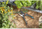 GARDENA snoeischaar B/S-XL - max. Ø 24 mm