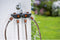 GARDENA Waterverdeler - Slangkoppeling - 4 uitgangen