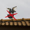 Gardigo Bird Repellent Spikes Spikes tegen duiven Functies Afschrikking 400 cm