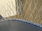 Gardigo Bird Repellent Spikes Spikes tegen duiven Functies Afschrikking 400 cm