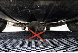 Gardigo Matte mobil Marterverschrikker Functies: Afschrikking 1 stuk(s)