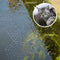 Gardigo Pond Protection Grid Vogelverschrikker Functies: Afschrikking 20 stuk(s)
