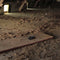 Gardigo rat trap Rattenval Functies: Lokstof 5 stuk(s)