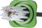 Gardigo Spider Catcher 66976 Niet dodelijke val Zwart, Groen 1 stuk(s)