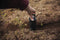 Gardigo vole trap Ongedierteval 1 stuk(s)