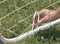 Garlando - Field Match - Voetbaldoel 300 x 200 cm - Voetbal - Training - Incl. 6 Grondhaken