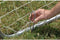Garlando - Field Match - Voetbaldoel 300 x 200 cm - Voetbal - Training - Incl. 6 Grondhaken