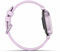 Garmin Lily 2 Paars (Paars)