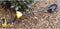 Garrett Ace 400I metaaldetector