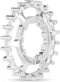 Gates tandwiel 22 Carbon Drive CDX 9 spline RVS achter zilver