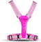 Gato Sport Led safer Sport Vest KIDS