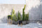 De Charcoal Hoge Plantenbak - Zwart Natural - L