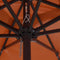 vidaXL - Vierkante - Tuinparasol - met - LED-licht - 295x245 - cm - Terracotta