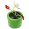 Solar Wiggle Flower - Potplant met Lieveheersbeestje - Beweegbare Bloem