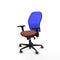 Piqueras y Crespo 3D036G0 - Bureaustoel - Verstelbare hoogte met armleuning - Blauw Bruin