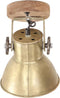 vidaXL Wand-/plafondlampen industrieel 2 st E27 20x25 cm messingkleur