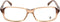 Brillenframe Dames Tods TO5018-047-54 Bruin