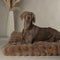 Scruffs Alpine - Hondenkussen - XL 120 x 75 cm - Taupe