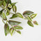 Mica Decorations Tradescantia - Kunst Hangplant - H54 cm met groen-wit patroon en bordeaux rode accenten - Groen