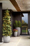 Capi Europe - Vaas elegant laag Smooth NL - 26x36 - Zwart - Opening Ø20 - Bloempot voor binnen en buiten - Levenslang garantie - Breukbestendig - 100% Recyclebaar - CO2 Neutraal geproduceerd - KBL781