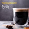 Dubbelwandige theeglazen koffieglazen - Cappuccino glazen - Warme en koude dranken koffietassen dubbelwandig - 250 ML - Set van 2 - VDN