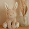 Little Dutch - Knuffelkonijn Baby Bunny - 15 cm - Bruin