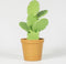 Suck UK Coaster Onderzetter - Cactus set van 6