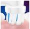 Oral-B Kids - Elektrische Tandenborstel - 2 min. timer roterend/oscillerend - Frozen 2 Elsa