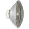 GE LIGHTING 300PAR56/WFL-120V 20849 Gloeilamp